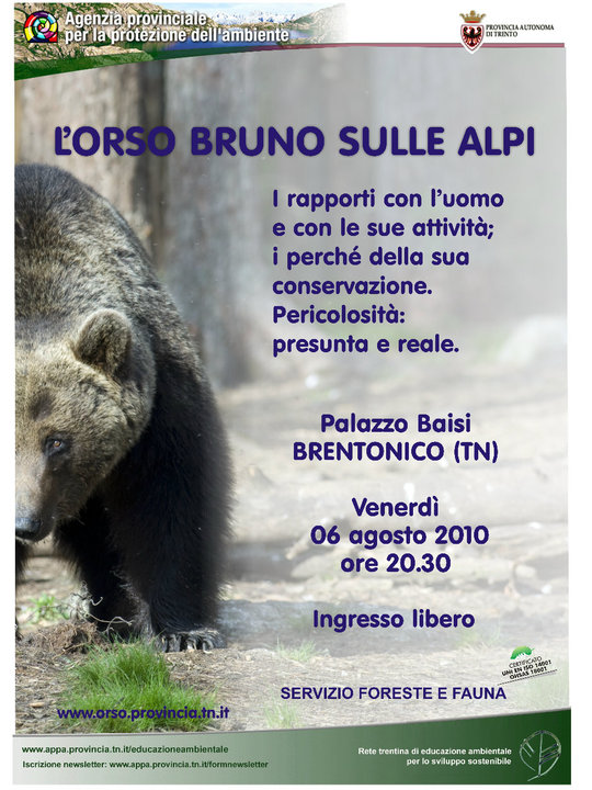 Finalmente l''orso!